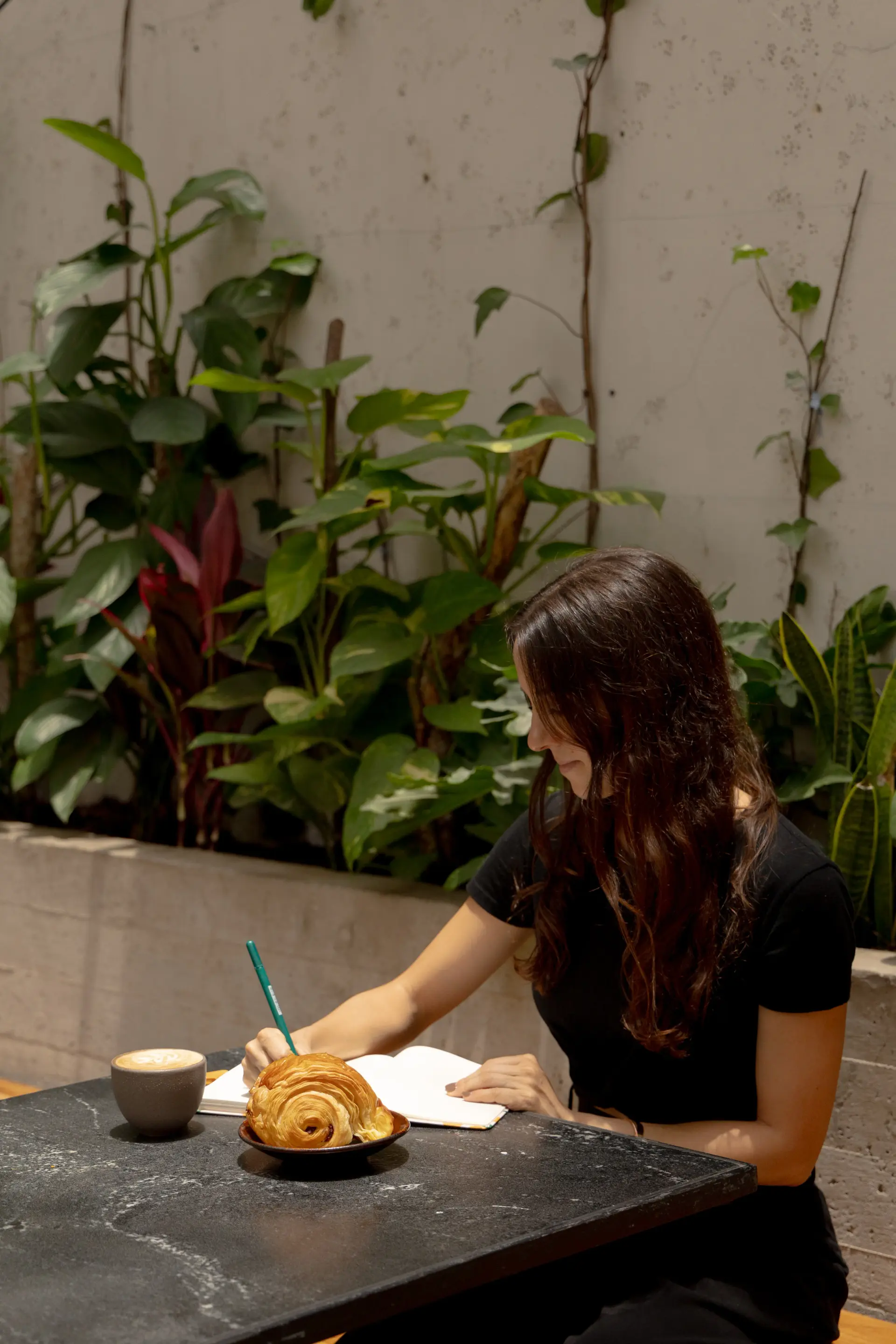 Exterior de Tosta con plantas